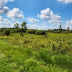 Property photo for land for sale in Columbia County Wisconsin