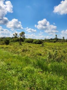 Property photo for land for sale in Columbia County Wisconsin