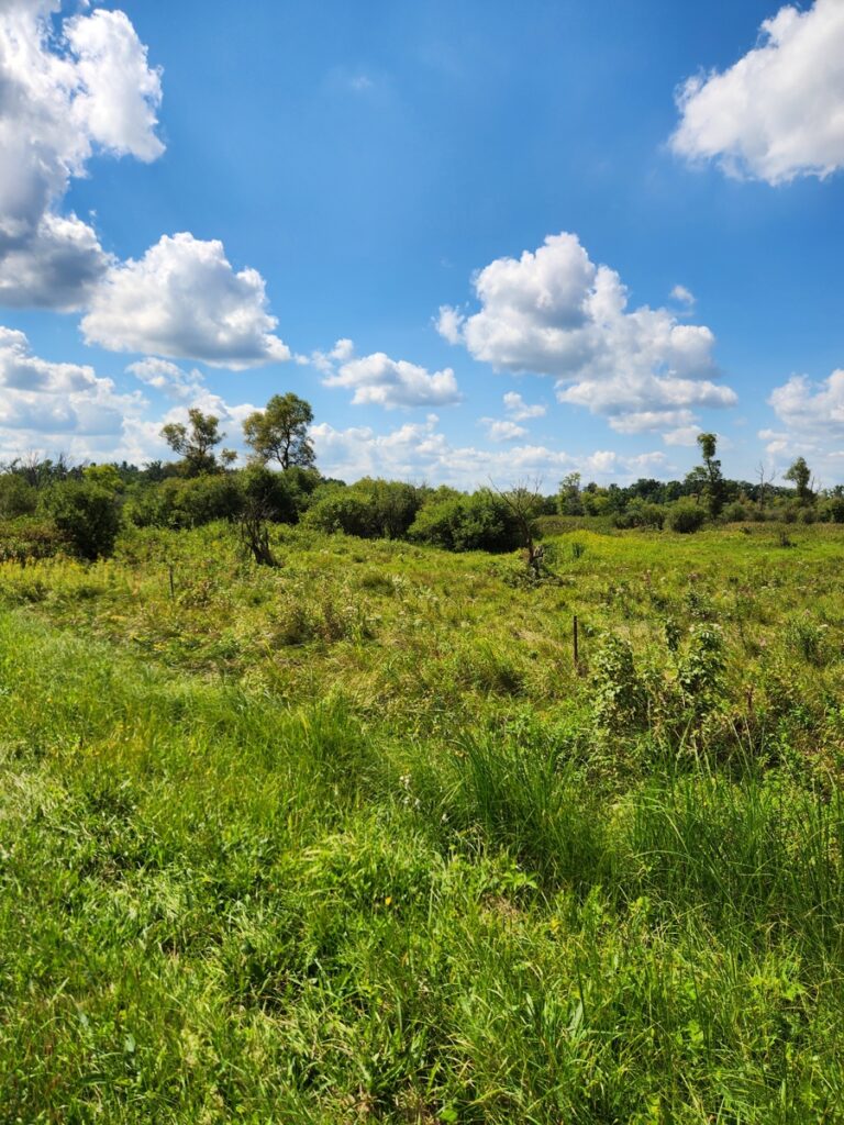 Property photo for land for sale in Columbia County Wisconsin
