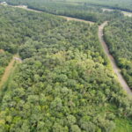 Property photo for land for sale in Cass County Texas