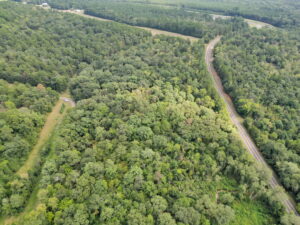 Property photo for land for sale in Cass County Texas