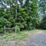 Property photo for land for sale in Upshur County Texas