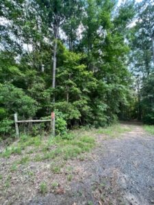 Property photo for land for sale in Upshur County Texas