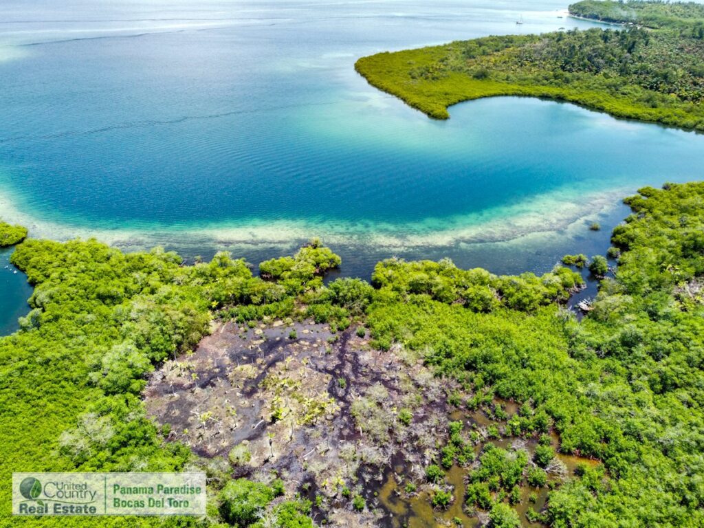 Property photo for land for sale in  County Panama