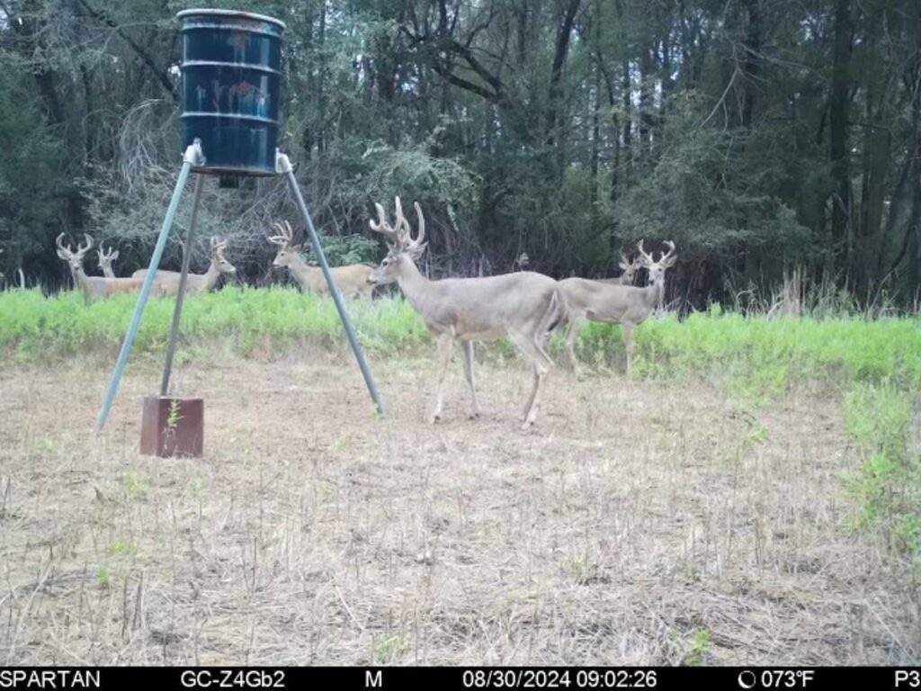 Property photo for land for sale in Greer County Oklahoma