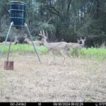 Property photo for land for sale in Greer County Oklahoma