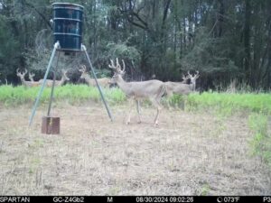 Property photo for land for sale in Greer County Oklahoma