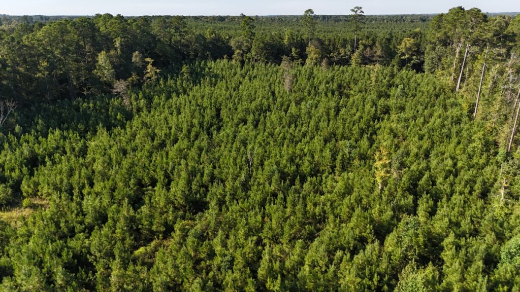 Property photo for land for sale in Union County Louisiana