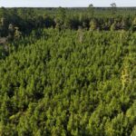 Property photo for land for sale in Union County Louisiana