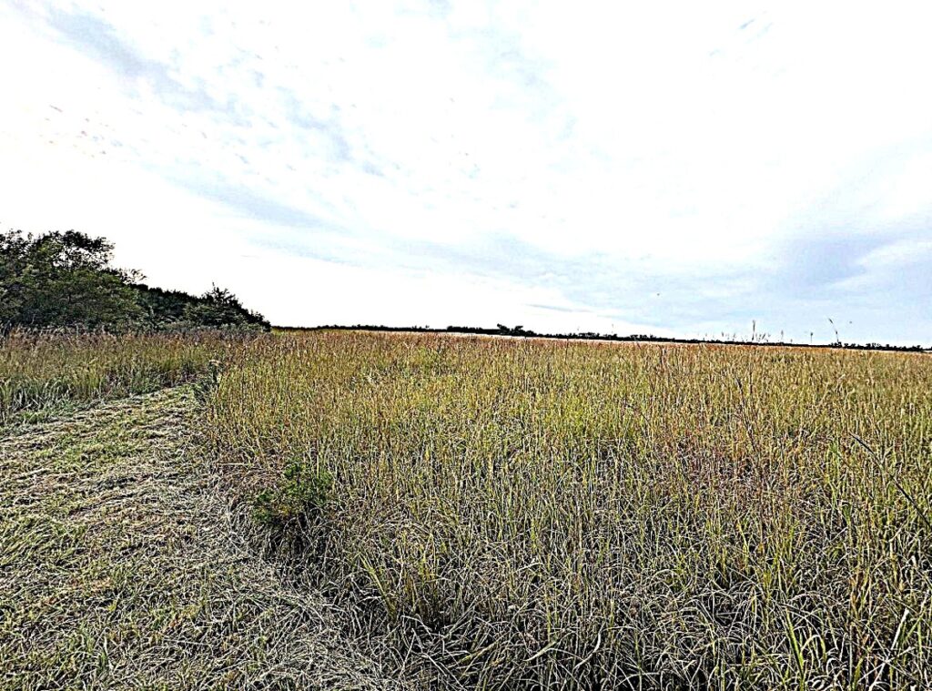 Property photo for land for sale in Stafford County Kansas