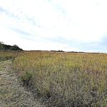 Property photo for land for sale in Stafford County Kansas