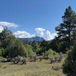 Property photo for land for sale in Rio Arriba County New Mexico