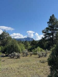 Property photo for land for sale in Rio Arriba County New Mexico