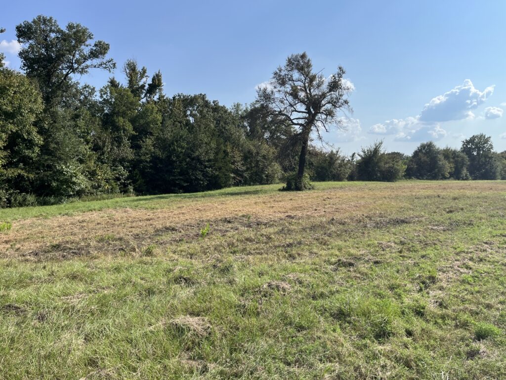 Property photo for land for sale in Van Zandt County Texas