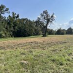 Property photo for land for sale in Van Zandt County Texas