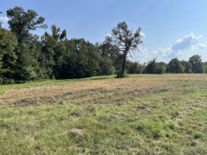 Property photo for land for sale in Van Zandt County Texas