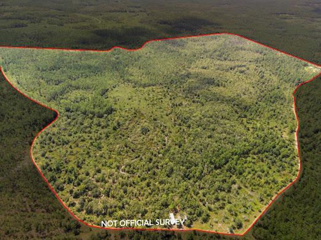 Property photo for land for sale in Levy County Florida