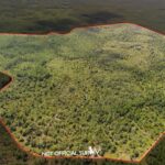 Property photo for land for sale in Levy County Florida