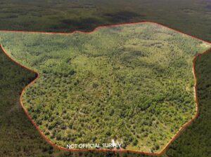 Property photo for land for sale in Levy County Florida