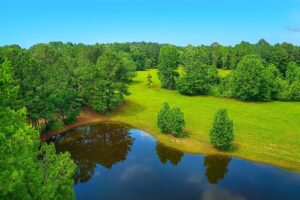 Property photo for land for sale in Cass County Texas
