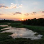 Property photo for land for sale in Bowie County Texas