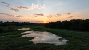 Property photo for land for sale in Bowie County Texas