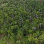 Property photo for land for sale in Pushmataha County Oklahoma
