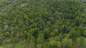 Property photo for land for sale in Pushmataha County Oklahoma