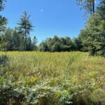 Property photo for land for sale in Fulton County New York