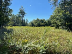 Property photo for land for sale in Fulton County New York