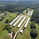 Property photo for land for sale in Lincoln County Louisiana