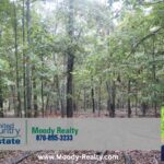 Property photo for land for sale in Fulton County Arkansas