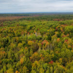 Property photo for land for sale in Penobscot County Maine