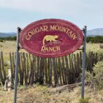 Property photo for land for sale in Torrance County New Mexico