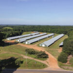 Property photo for land for sale in Lincoln County Louisiana