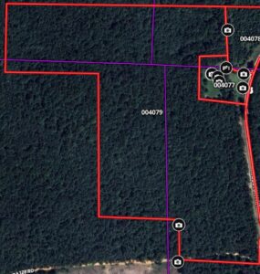 Property photo for land for sale in Nevada County Arkansas