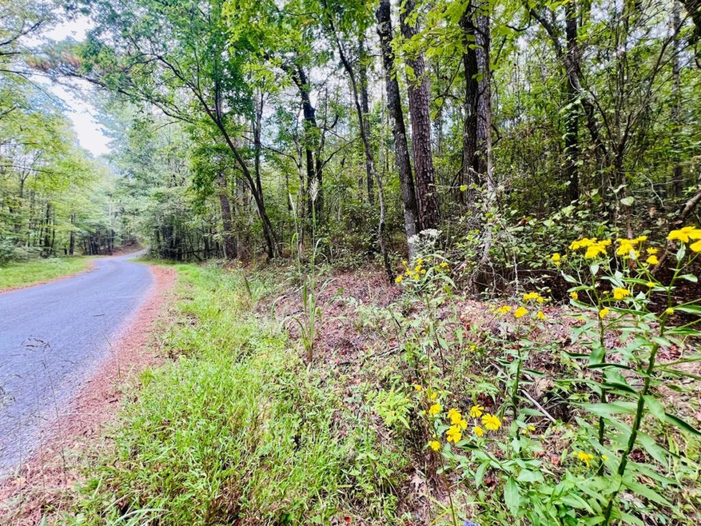 Property photo for land for sale in Prentiss County Mississippi