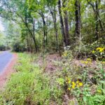 Property photo for land for sale in Prentiss County Mississippi
