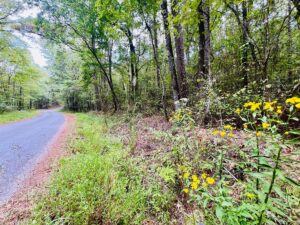 Property photo for land for sale in Prentiss County Mississippi
