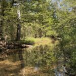 Property photo for land for sale in Izard County Arkansas