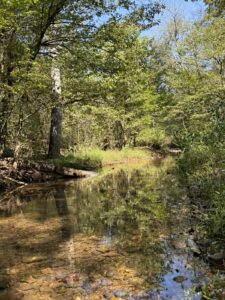 Property photo for land for sale in Izard County Arkansas