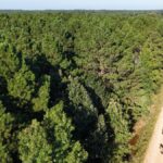 Property photo for land for sale in Union County Arkansas