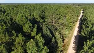 Property photo for land for sale in Union County Arkansas
