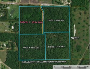 Property photo for land for sale in Bradford County Florida