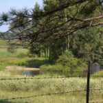 Property photo for land for sale in Miller County Arkansas