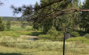 Property photo for land for sale in Miller County Arkansas