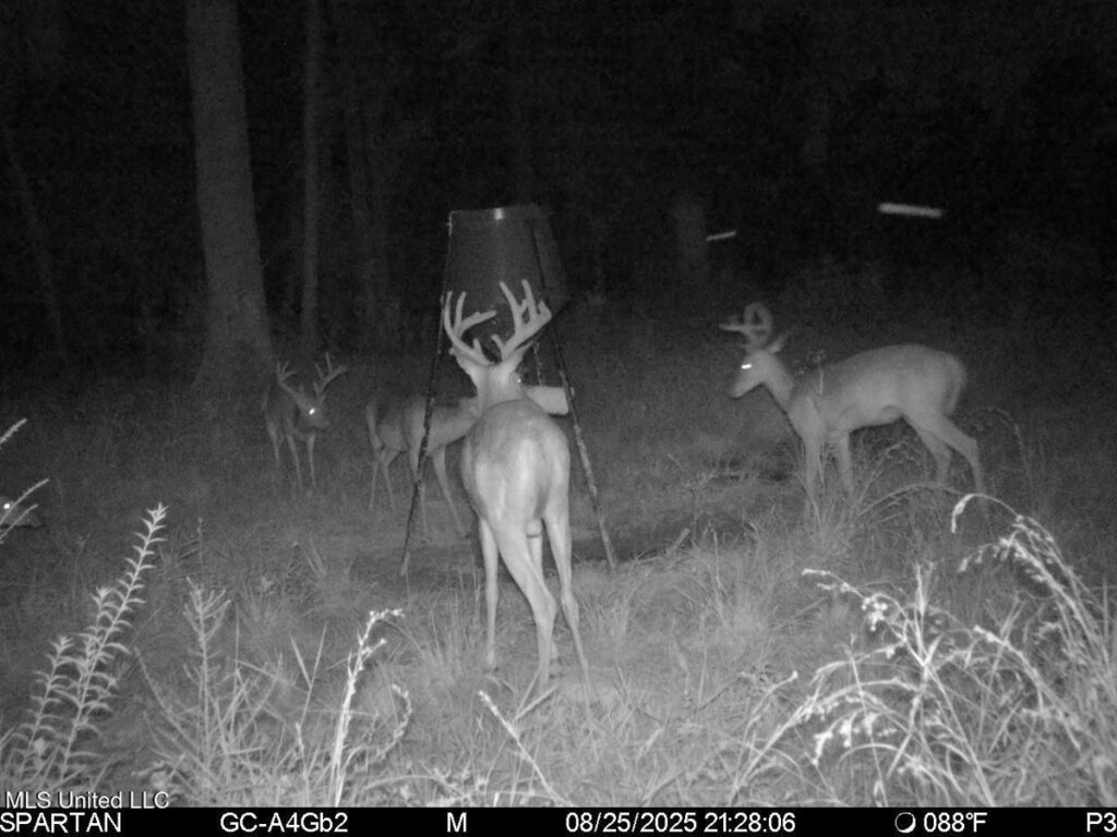 Property photo for land for sale in Tangipahoa County Louisiana