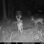 Property photo for land for sale in Tangipahoa County Louisiana