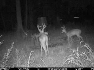 Property photo for land for sale in Tangipahoa County Louisiana