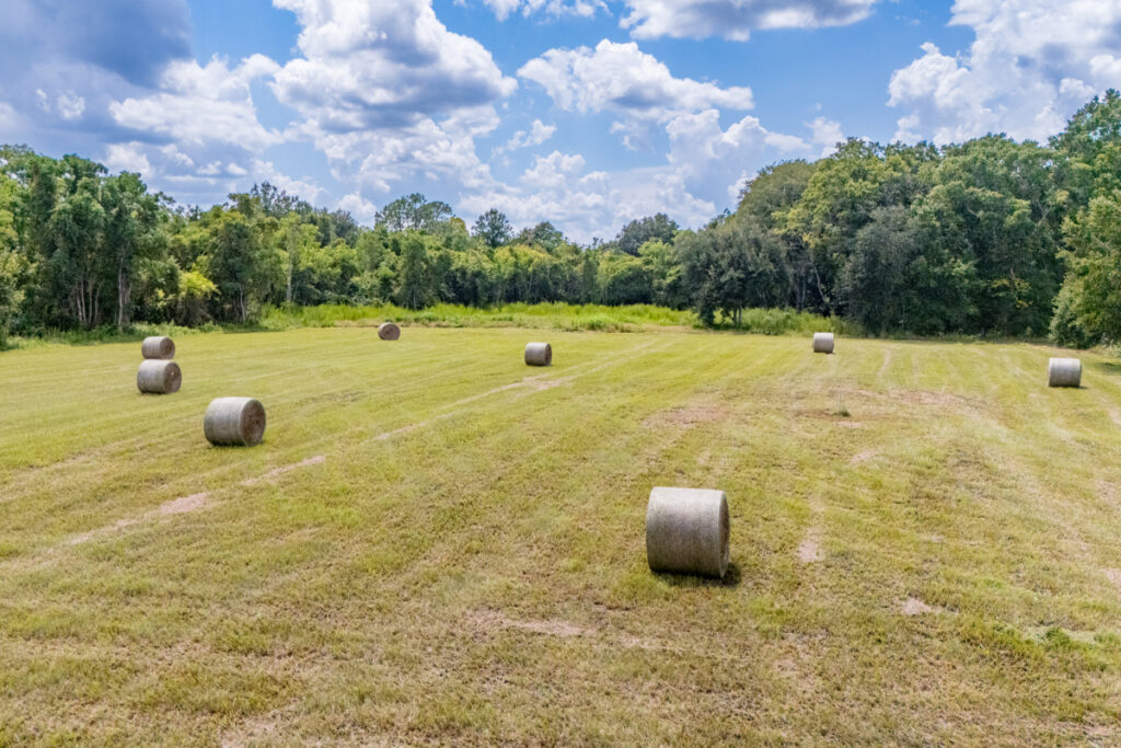 Property photo for land for sale in Bradford County Florida